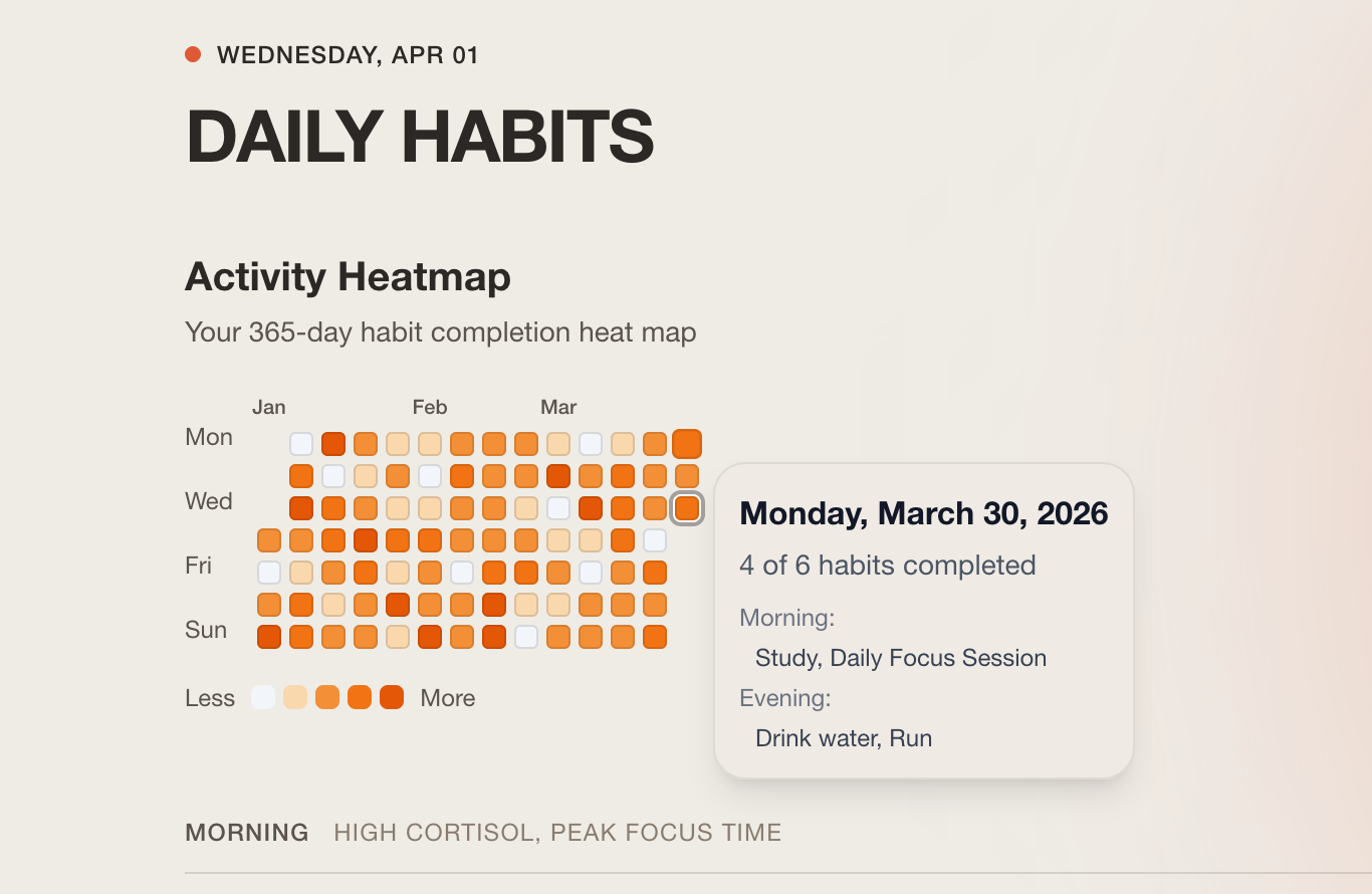 Daily habits 365-day heatmap and energy phases
